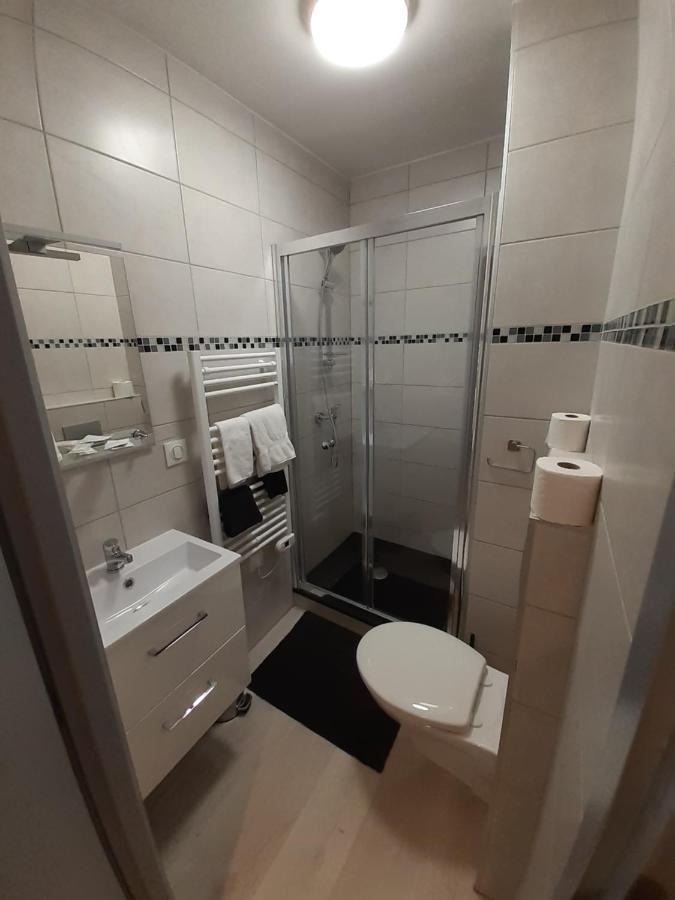 Les Appartements Du Saint Hubert Arcis-sur-Aube Bagian luar foto